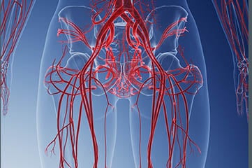 The Center for Vascular Medicine treats the veins and arteries of the lower extremities